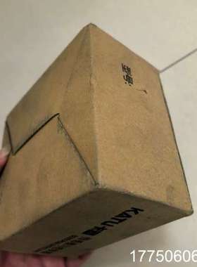 卡图电子式流量开关FS110-G12MDCCM40，