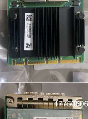 迈络思Mellanox ConnectX-5 100GbE网