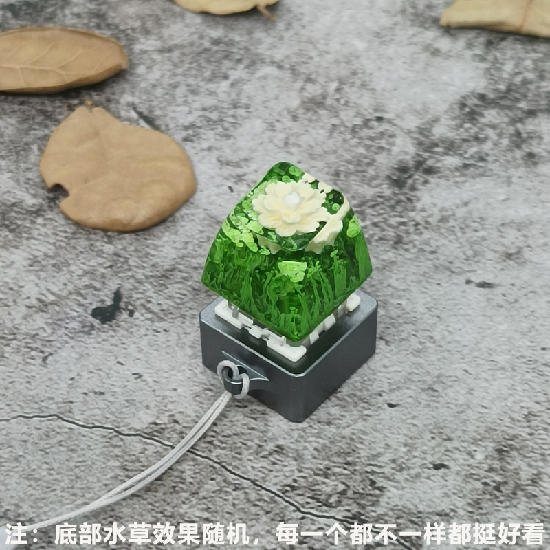 夜光蓝玲雏菊可定制颜色键帽