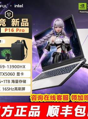 七彩虹隐星P16Pro RTX5060/i9-13900HX 16英寸游戏本笔记本电脑