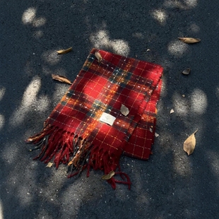 “浆果星星”超适合秋冬啊！红色韩系格子围巾氛围感圣诞围脖冬季