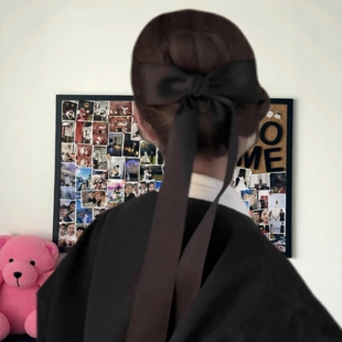 家人们谁懂啊 大号蝴蝶结发夹韩系超甜美头饰 出门被问爆链接了