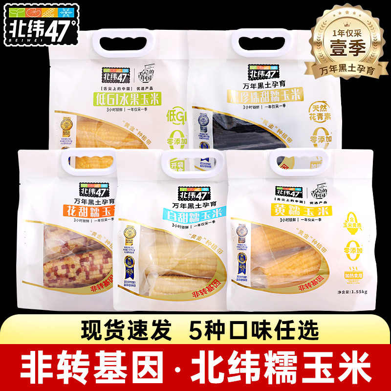 北纬47度黄糯玉米东北糯玉米新鲜黑糯甜玉米真空装粗粮现货速发