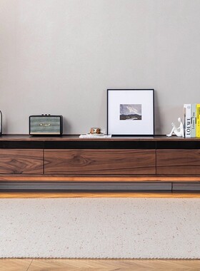 北美黑胡桃木简约现代风电视柜客厅落地储物收纳柜胡桃木色抽屉式