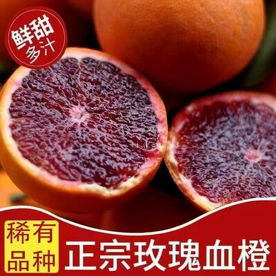 正宗四川红玫瑰橙新鲜水果塔罗科橙子