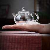 全度玻璃茶壶高硼硅耐高温家用迷你一人用小泡茶器单壶功夫冲茶具