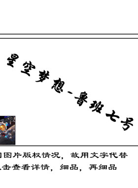 创意diy数字油画王者荣耀游戏填色星空梦想鲁班七号角色人物挂画
