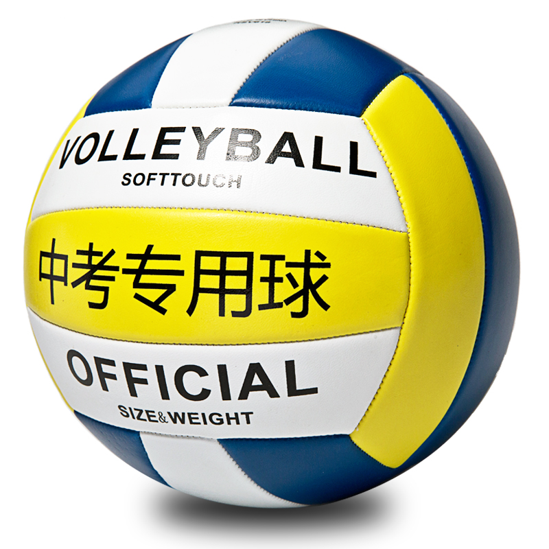 Ballon de volley - Ref 2011056 Image 1