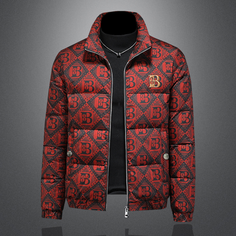 2025新款男士立领开衫时尚潮流羽绒服外套QT6012AFD7807-P310，男装羽绒服，阿丰达