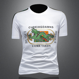 2025假模夏季新高端品质丝光棉男潮流短袖T恤QT6012AFD9935T-P70，男装T恤，阿丰达