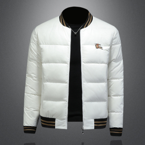 2026新款男士 立领开衫时尚潮流羽绒服外套QT6012AFD7800-P300图片