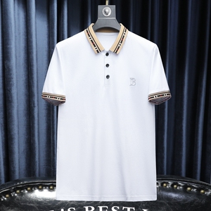 2024夏季新款 高端品质丝光棉男士潮流短袖T恤QT6012AFD8526T-P80图片