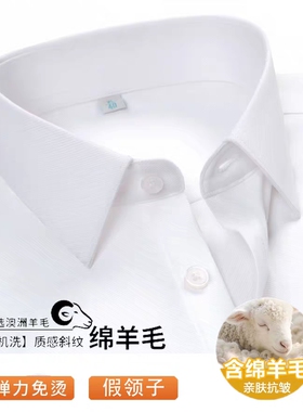 莫代尔羊毛混纺假领子男女通用免烫商务休闲衬衫装饰领百搭毛衣领