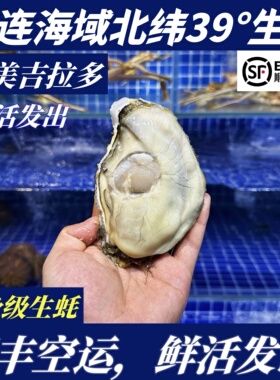 【顺丰特快】鲜活大连特产生蚝刺身生蚝456XL三倍体生蚝