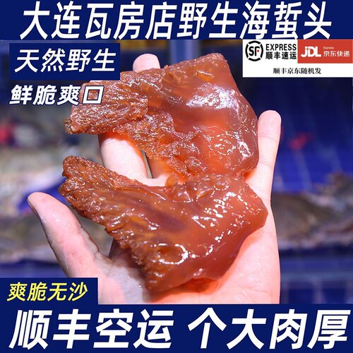 大连特产瓦房店野生海蜇头非即食蛰丝皮新鲜水产凉拌菜鲜脆爽口
