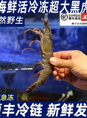 【顺丰特快】黑虎虾大虾新鲜超大老虎虾活虾速冻非基围竹斑九节虾