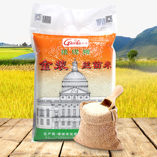 增城挂绿牌金装丝苗米新米长细粒米10斤真空包装籼米煲仔饭蒸饭米