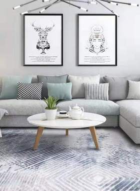 土耳其进口美式轻奢客厅北欧轻奢高端家用地毯卧室网红同款地毯