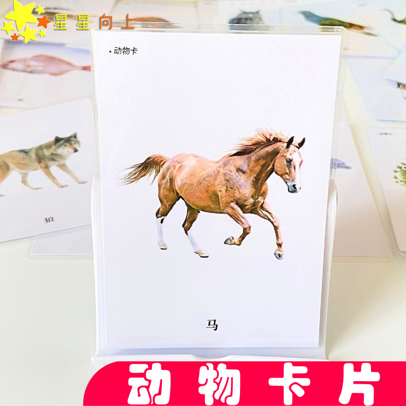 初级动物认知实操卡片自闭症儿童