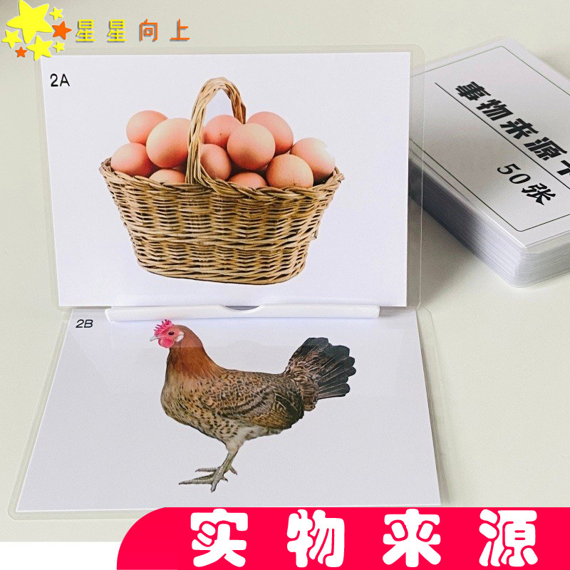 事物来源配对认知卡片早教