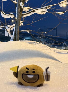 新款北海道shooky饼干玩偶卡通创意搞怪风饼干公仔送朋友闺蜜礼物