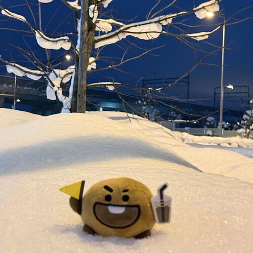 新款北海道shooky饼干玩偶公仔