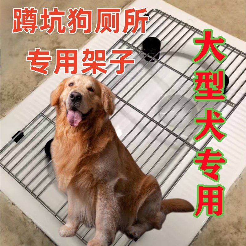 大型犬金毛专用蹲坑狗厕所网架