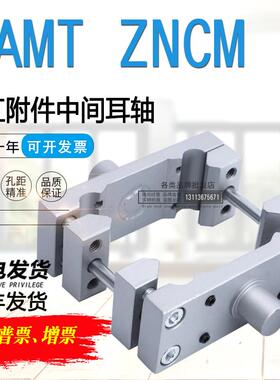标准气缸 中间耳轴安装组件ZNCM DAMT-V1-32-40-50-63-80-100-125