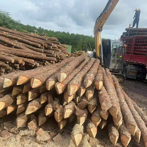 松木桩1米至8米均有现货可削尖