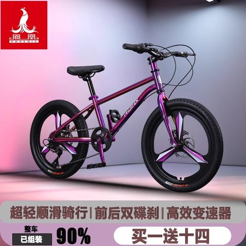 凤凰内走线双碟刹儿童山地自行车