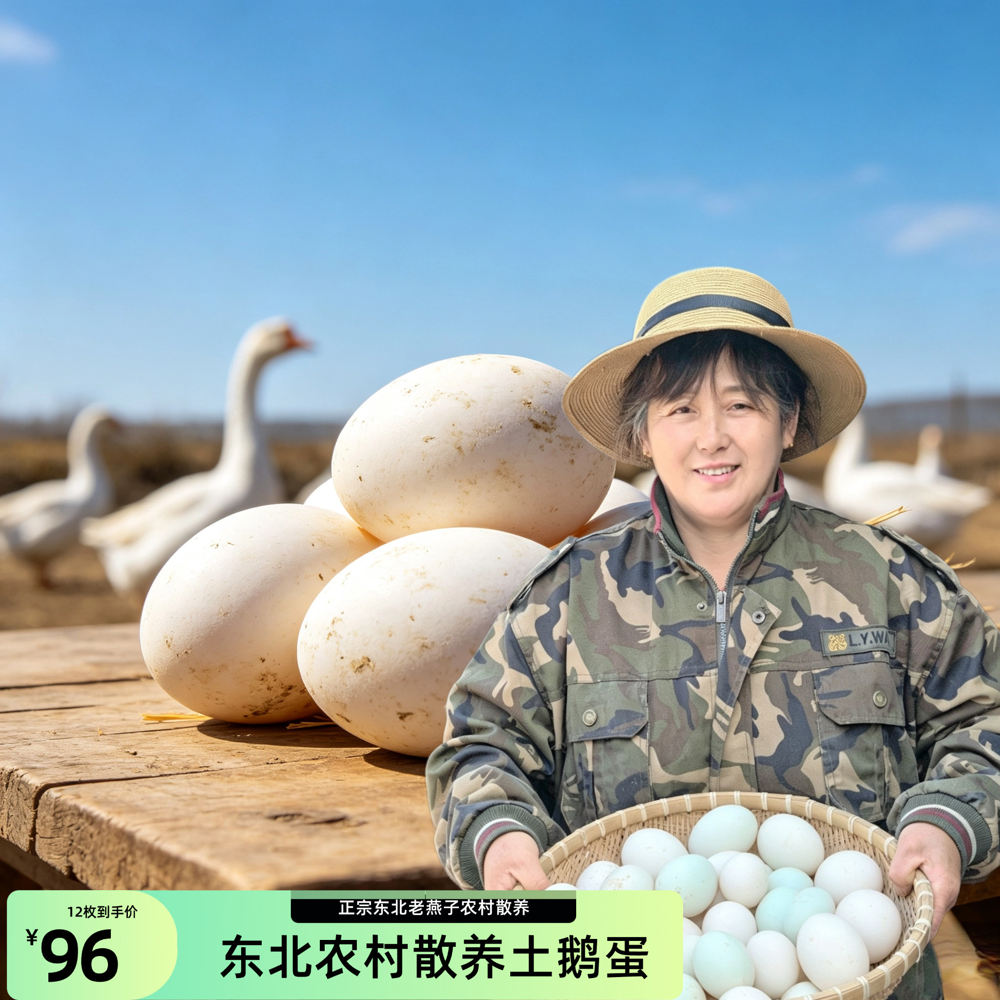 东北老燕子农村土鹅农家散养土鹅鹅蛋