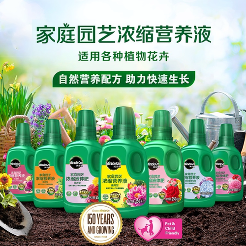 阳台绿萝月季盆景栀子花营养液