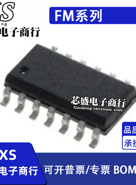 FM3104/3116/3164/3316/31T378/32L276 S/G-GTR/STR SOP-14