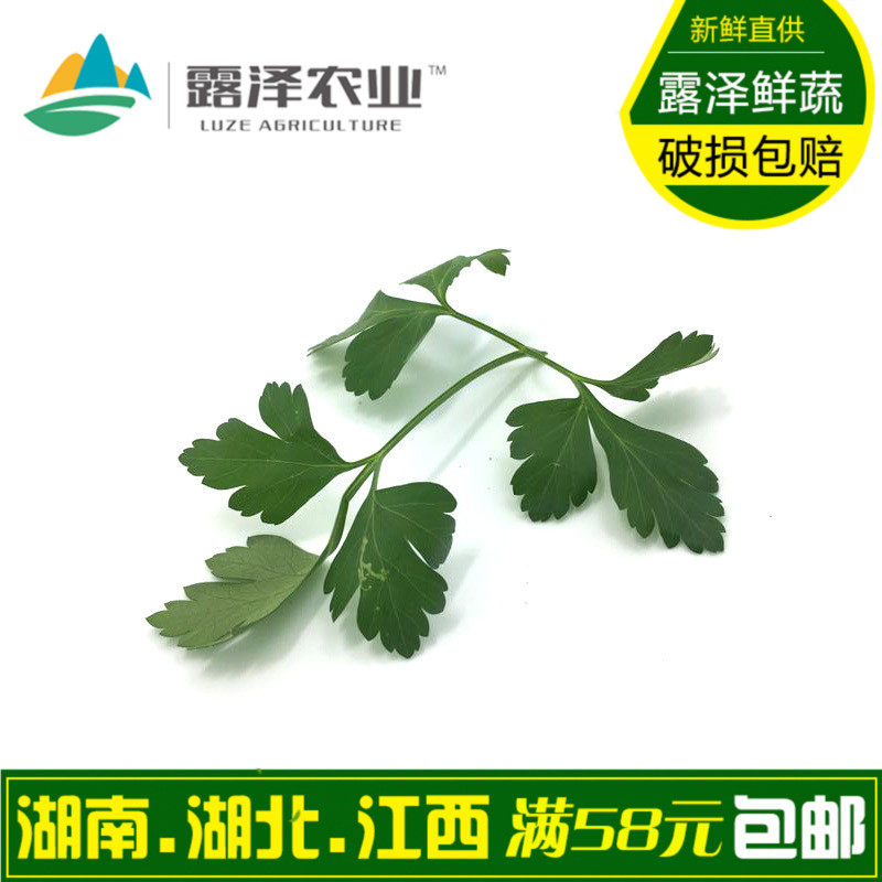 【露泽鲜蔬】新鲜意大利芹菜细叶芹欧芹西餐香料250g_虎窝淘