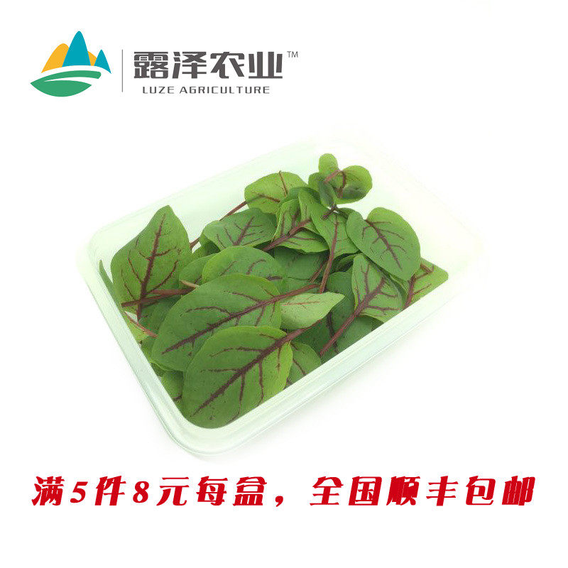 【露泽鲜蔬】新鲜酸模小叶沙拉拌菜中西餐搭配摆盘装饰一盒_虎窝淘
