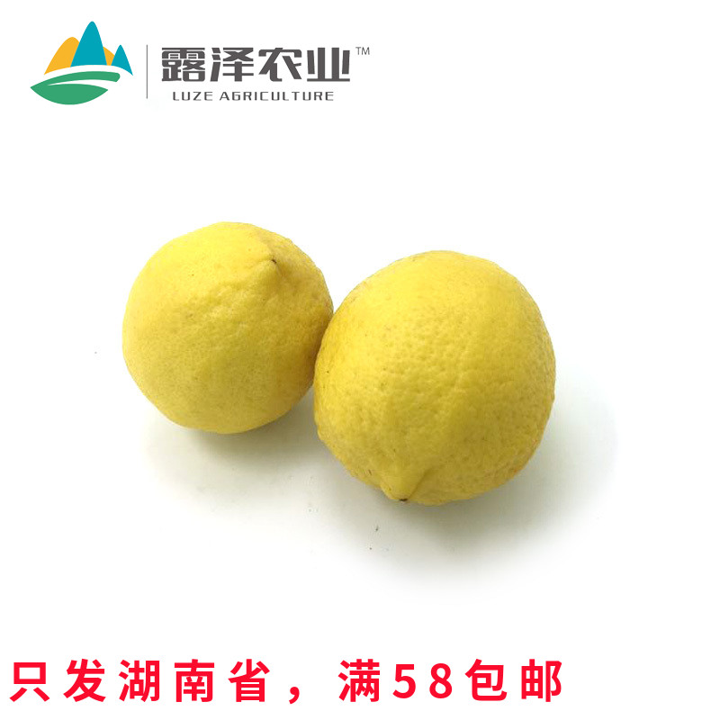 【露泽鲜蔬】新鲜黄柠檬水果沙拉食材柠檬蜂蜜柠檬片泡茶水 1斤装