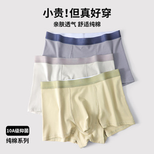 绍兴洛书服饰有限公司纯棉男士内裤男式中腰无痕平角裤10A抑菌裆
