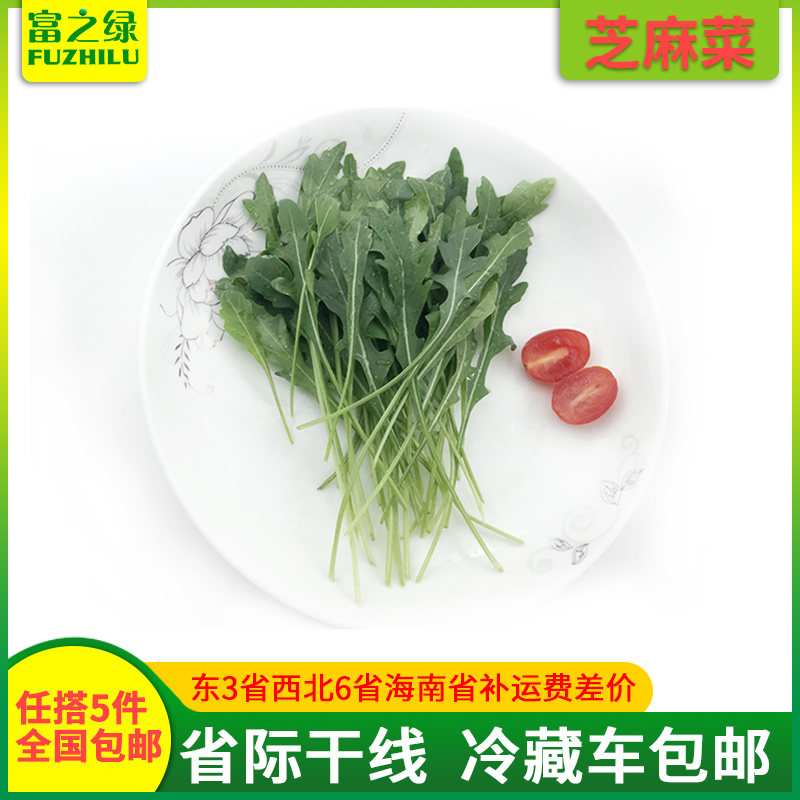 新鲜芝麻菜250克-500克产地直销