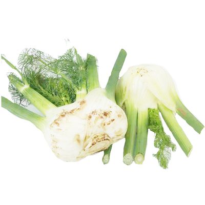 新鲜茴香头云南蔬菜产地直销