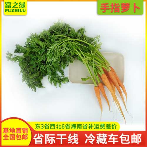 新鲜手指萝卜3斤-20斤蔬菜批发