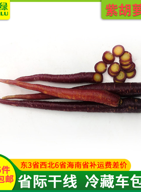 新鲜紫胡萝卜500g 【任搭5份包邮】紫色小胡萝卜新鲜蔬菜 胡萝卜