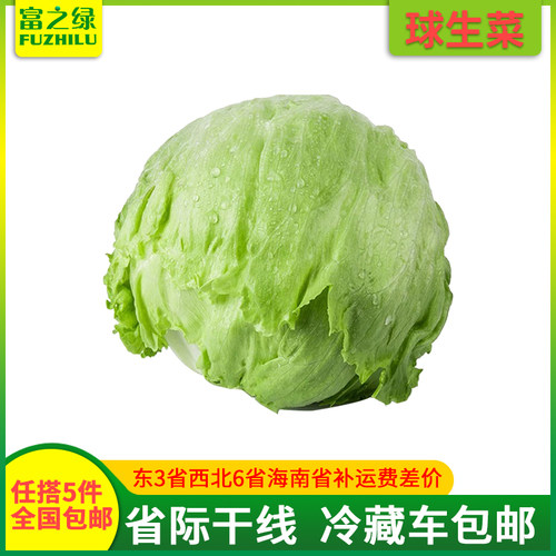 新鲜球生菜500g店铺任搭5份包邮