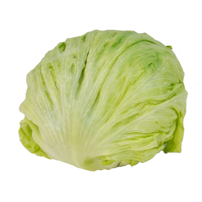 新鲜球生菜500g店铺任搭5份包邮