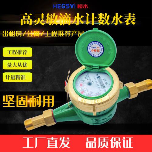 指针防滴漏自来湿式出租房水表