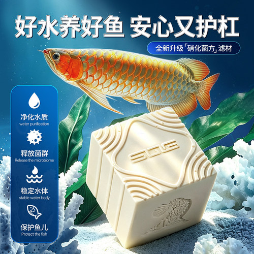 SQG菌方家用乌龟鱼缸净化水质