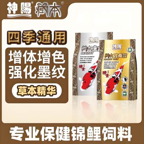 神阳藏本锦鲤饲料育成鱼粮蝴蝶鲤