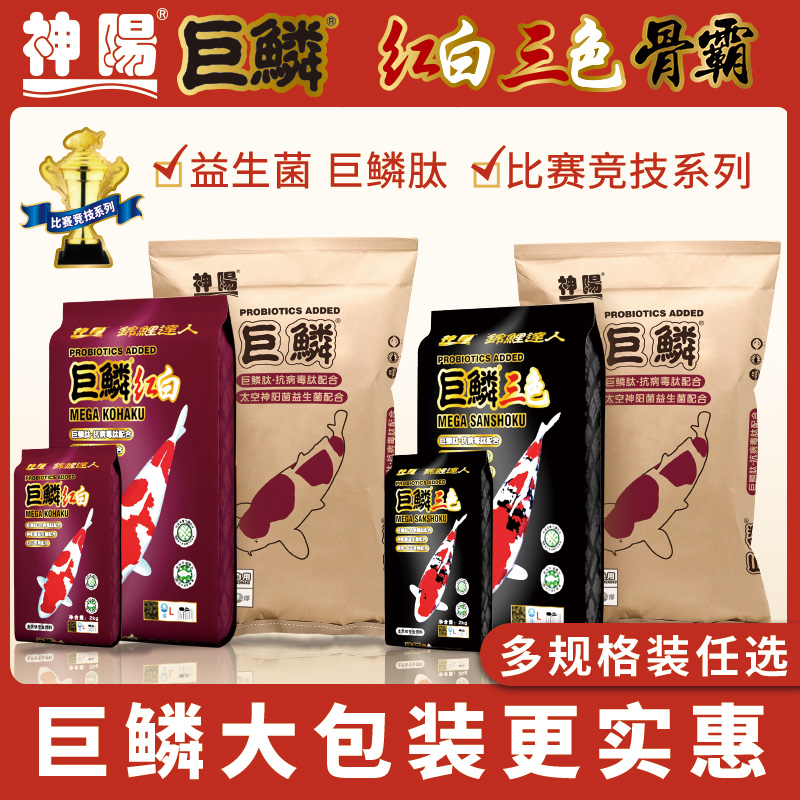 正品神阳巨鳞锦鲤饲料增体增色