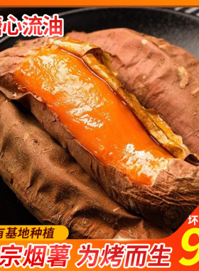 山东红薯新鲜烟薯25红心富硒地瓜农家沙地烤蜜薯糖心流油红芋5斤