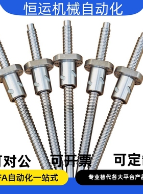 丝杠BSBR BSBRK1505 10-150 300 400 700 800 1000 1200-F15 F30