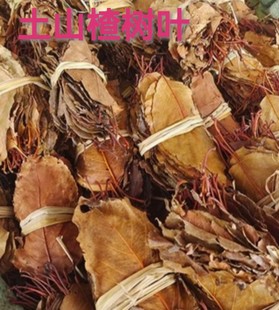 山楂叶广西干货山楂树叶深山生长手工採摘茶树叶泡水泡茶家庭饭店